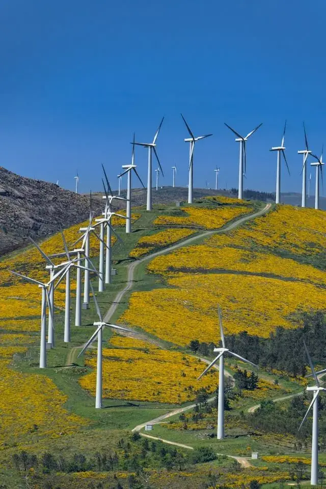 Supporting green communities and renewable initiatives - Trihita Energy